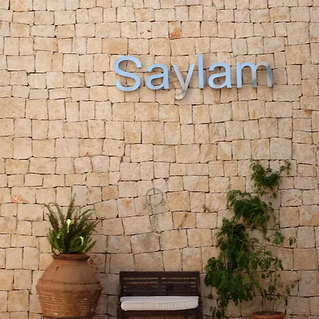 Saylam