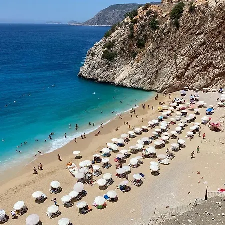 Saylam