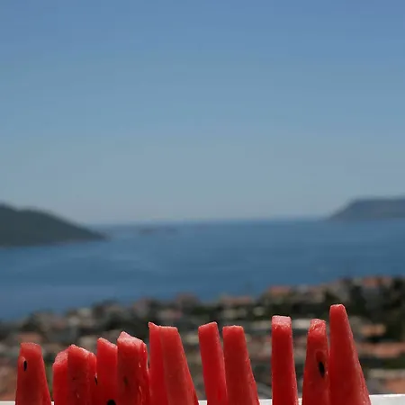 Hotel Saylam